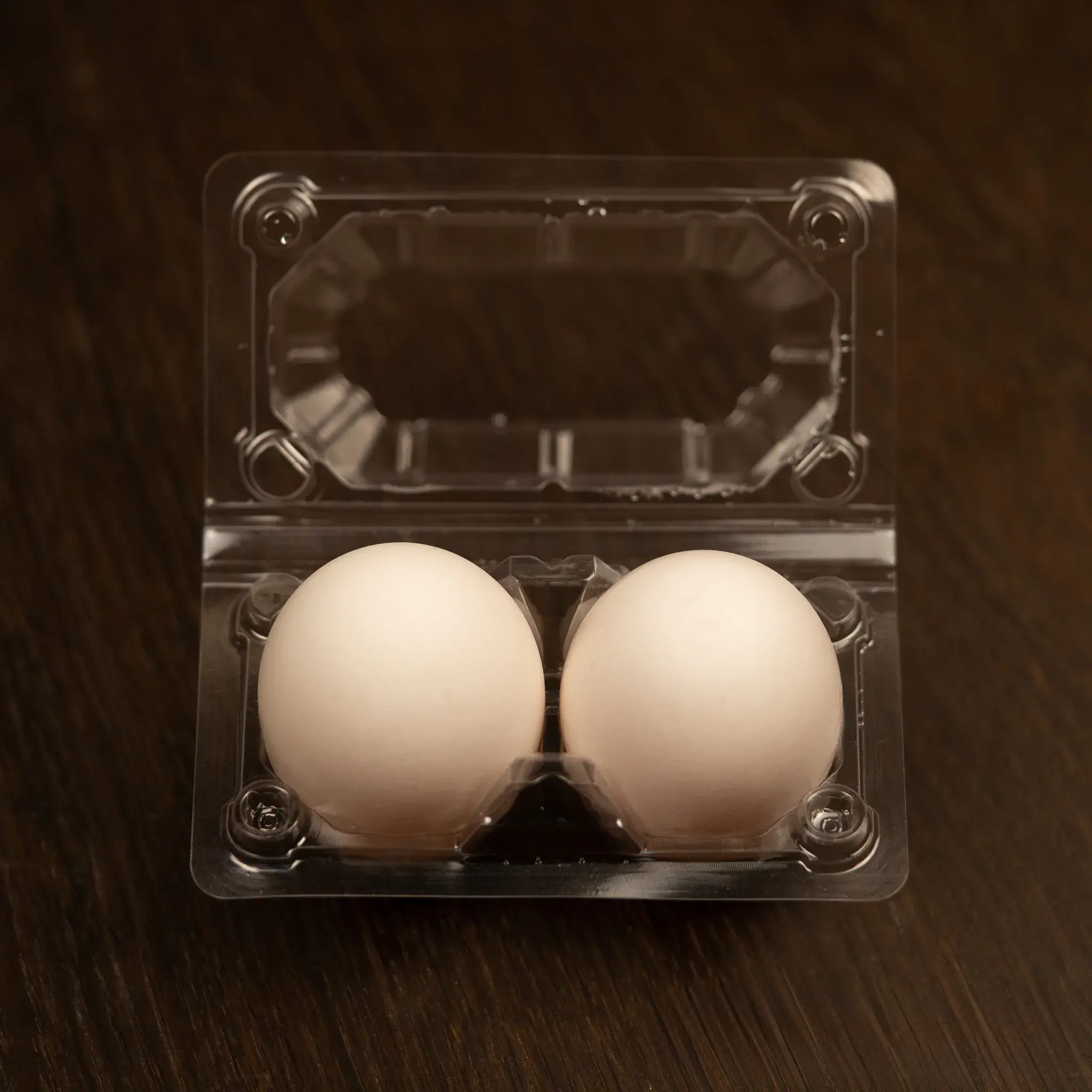 egg